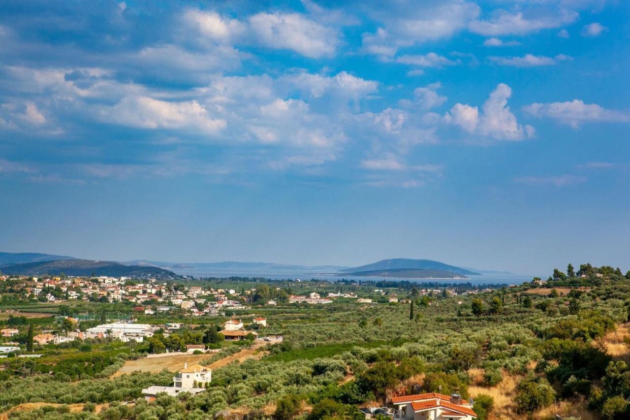 נאפפליו Aeolus Luxury Apartment - I מראה חיצוני תמונה